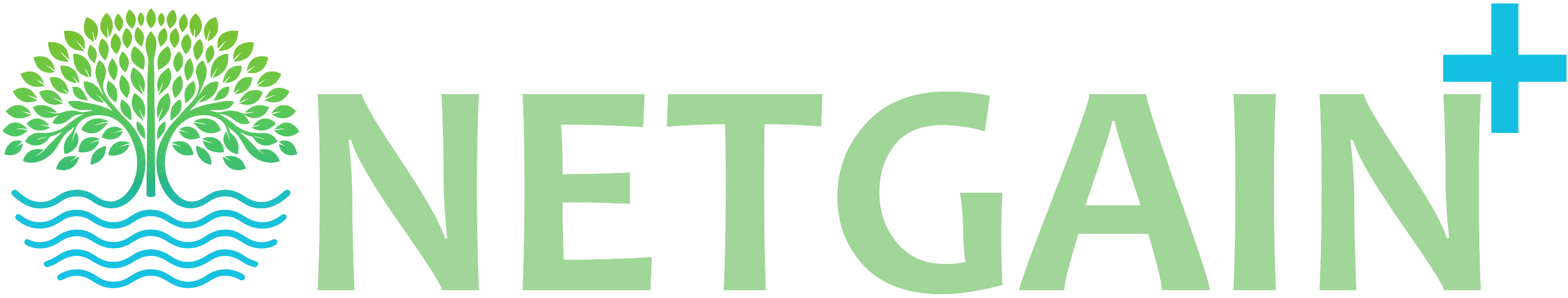 NETGAIN
